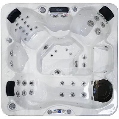 Avalon EC-849L hot tubs for sale in Richmond
